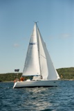 tigger 2828c whyw22 sun 800_2085yi